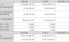 B体育-福建浔兴股份发布上半年业绩报告，净利润同比增长30%