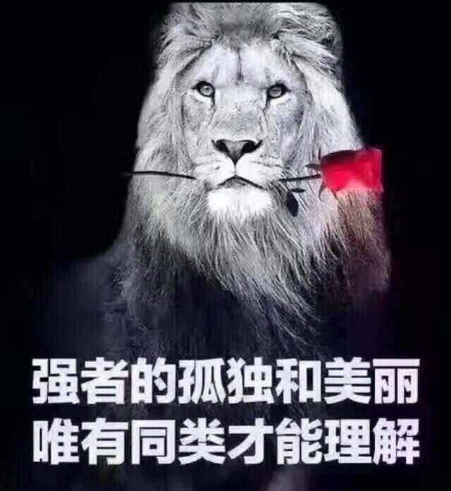 欧预赛胜负之辨：强者胜，弱者败